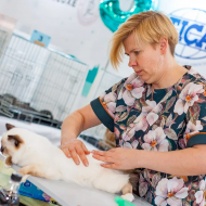 Международная выставка WINTER CAT SHOW 2019 (7-8.12.2019 Москва)