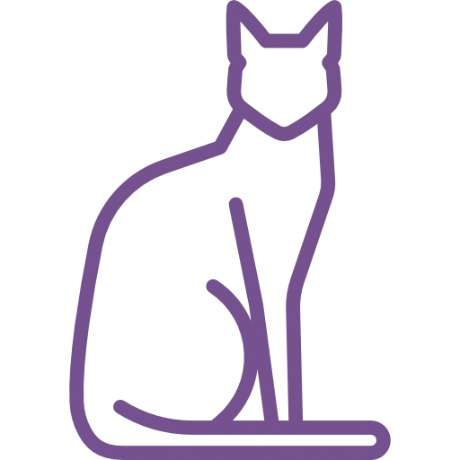 Коты
